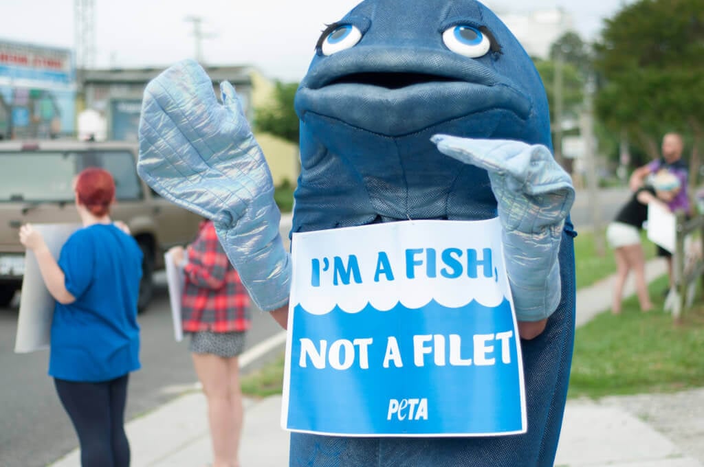 Freeda Fish mascot at a PETA fishing demonstration