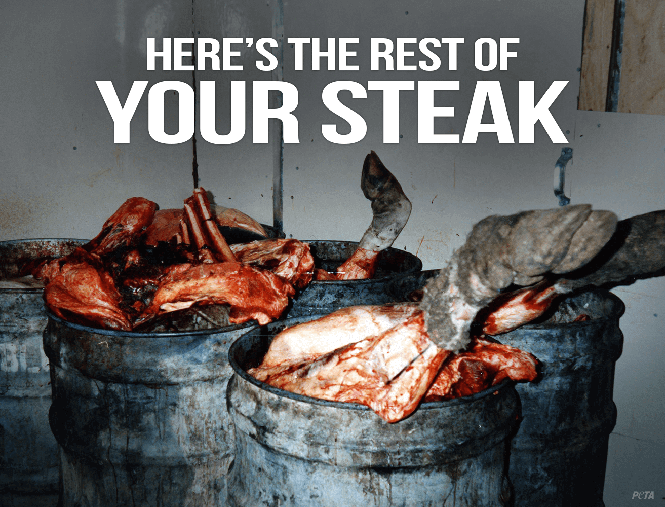 Heres Rest of Your Steak PETA