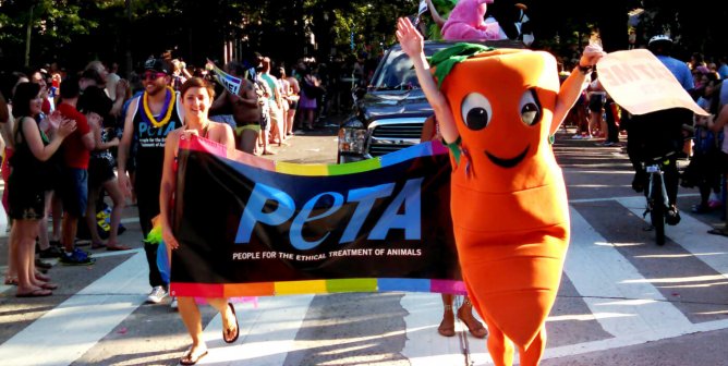 carrot mascot chris p carrot runs at pride parade