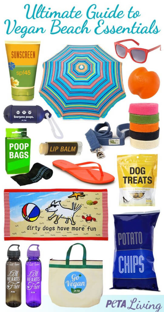 Vegan Beach Essentials Share Able Image