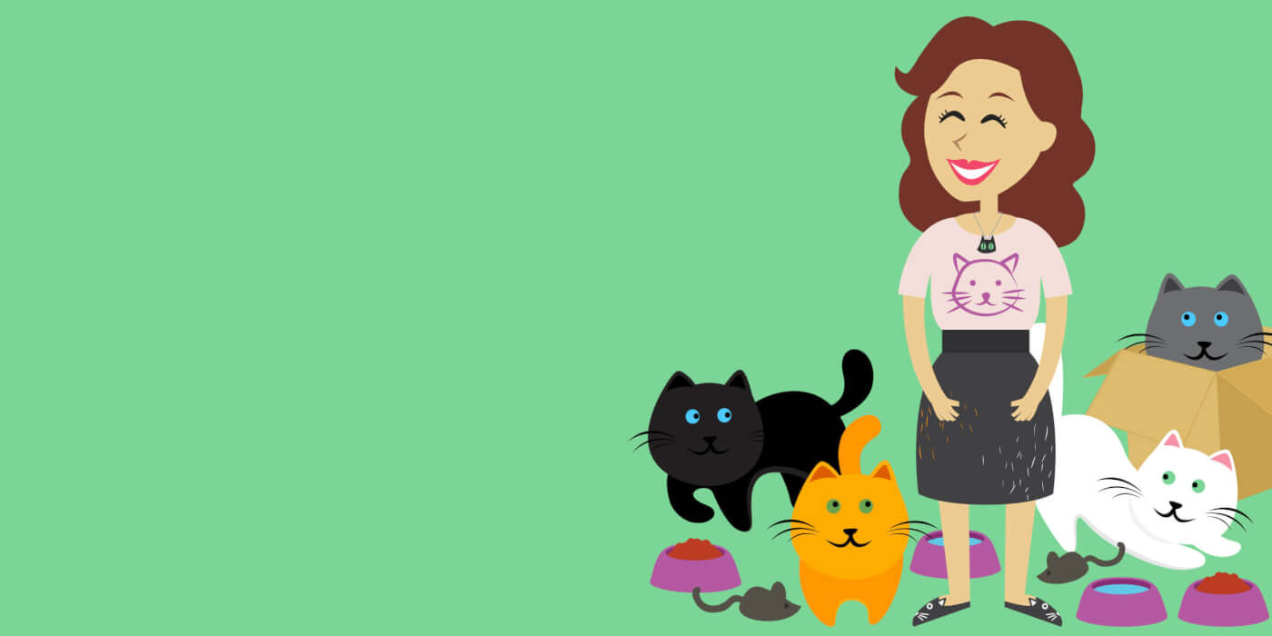 Crazy Cat Lady Cartoon