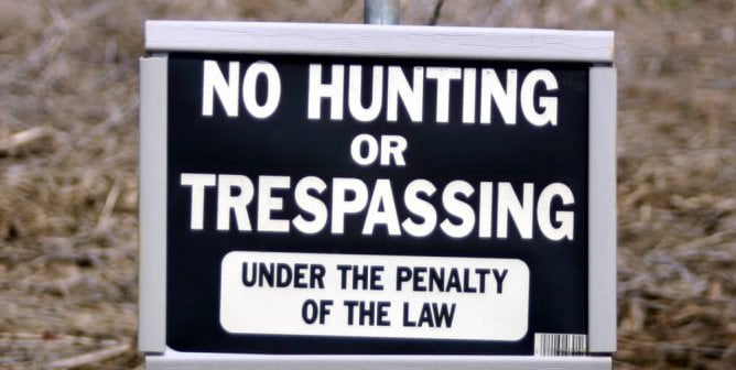 Why I Choose Not to Hunt