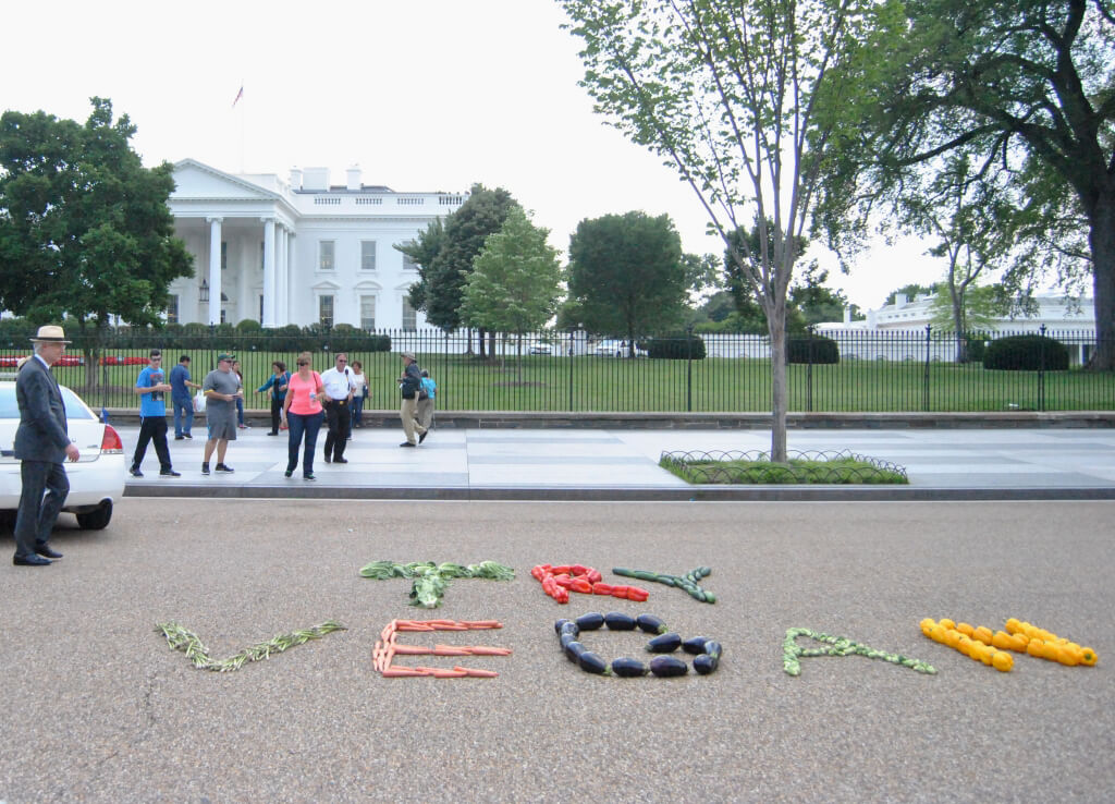 TRY VEGAN Display in Front of White House