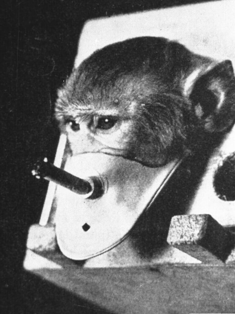 1970's smoking monkey toy