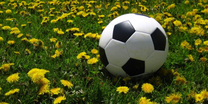 Going Vegan: Was That the Key to World Cup Victory?