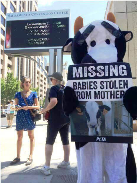 Mother Cow at Cheese Conference