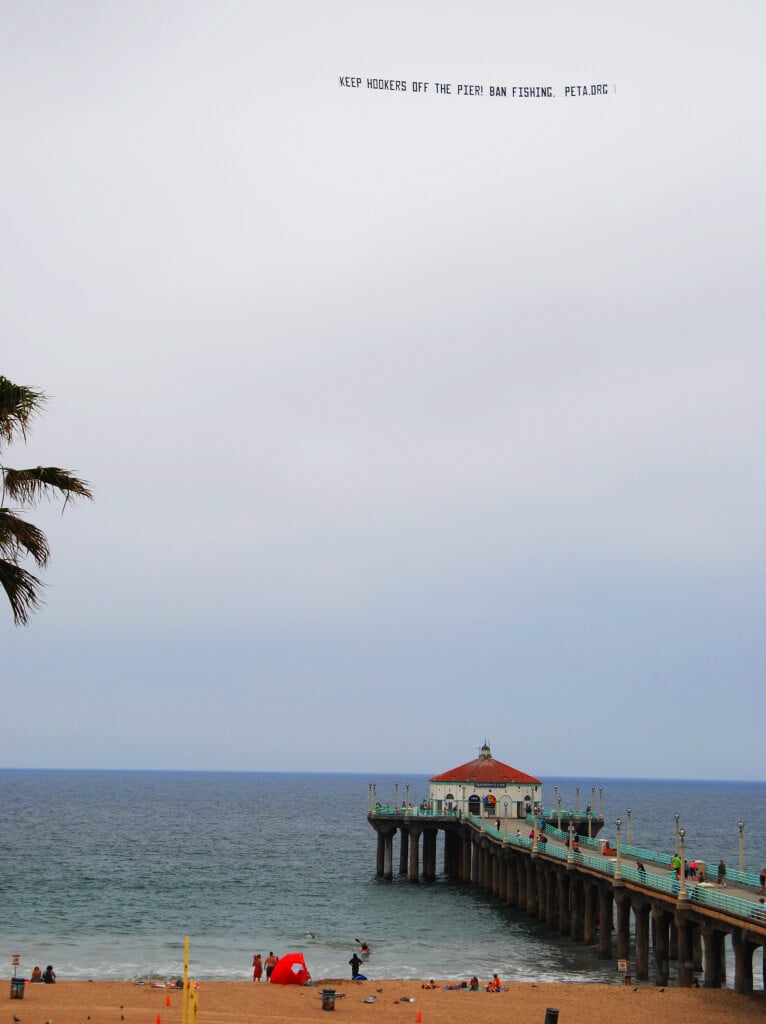 Keep Hookers Off the Pier - Ban Fishing Banner