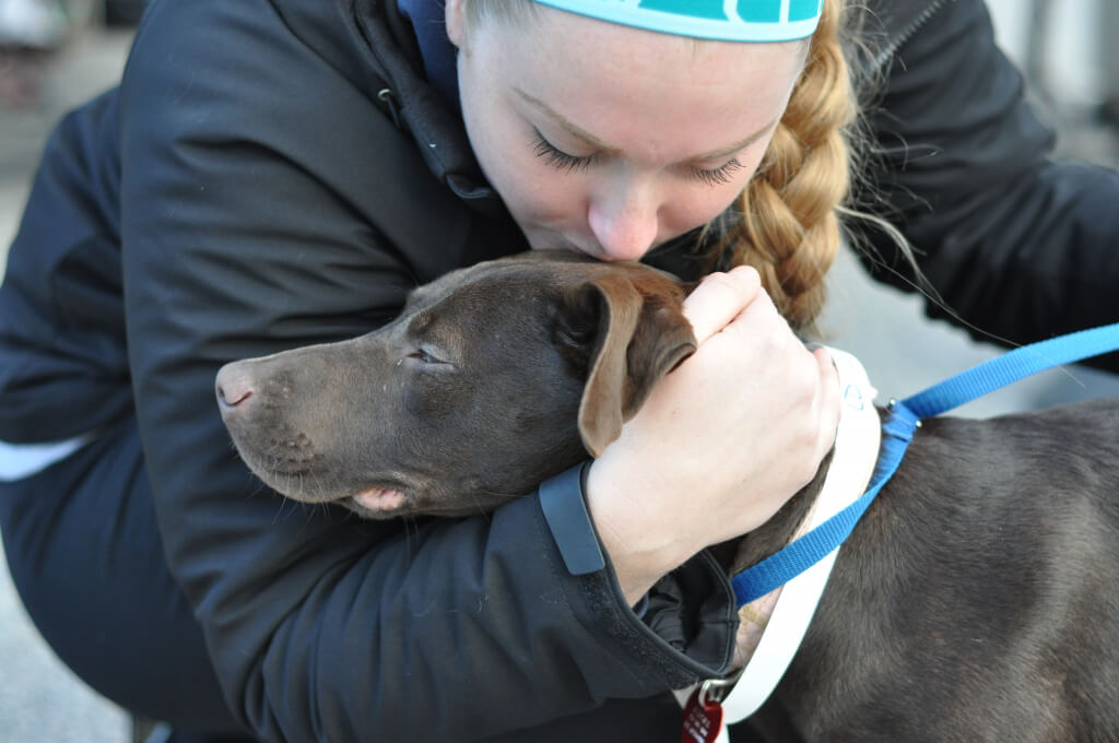 Dog Gets a Kiss at PETA's Mobile Clinic