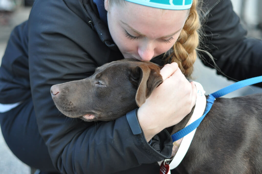 Dog Gets a Kiss at PETA