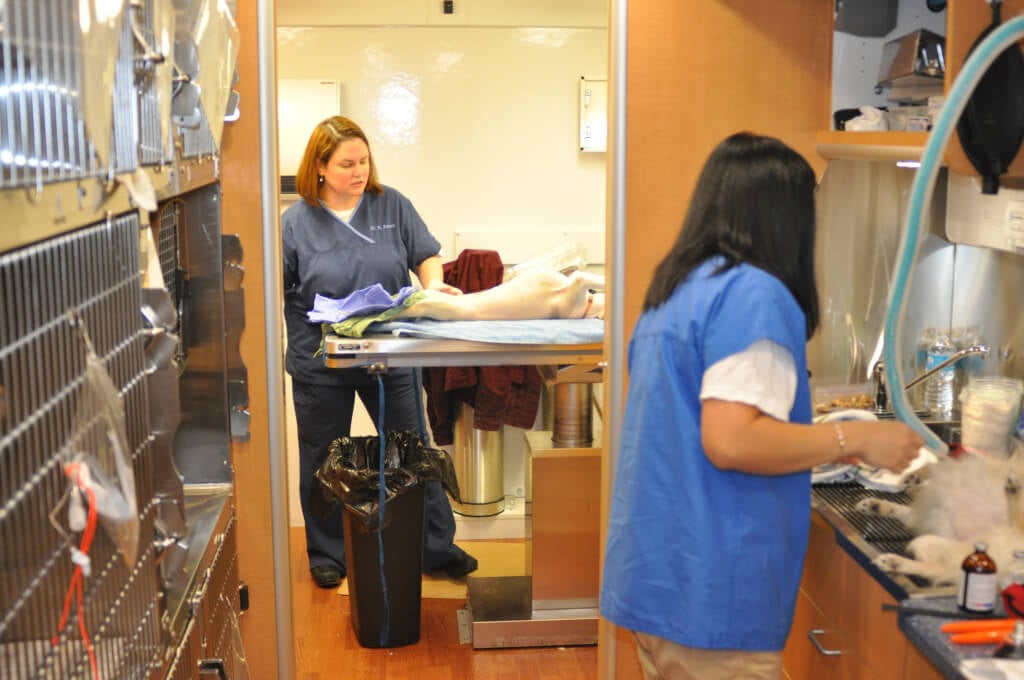 PETA Staffers at Work in Mobile Clinic