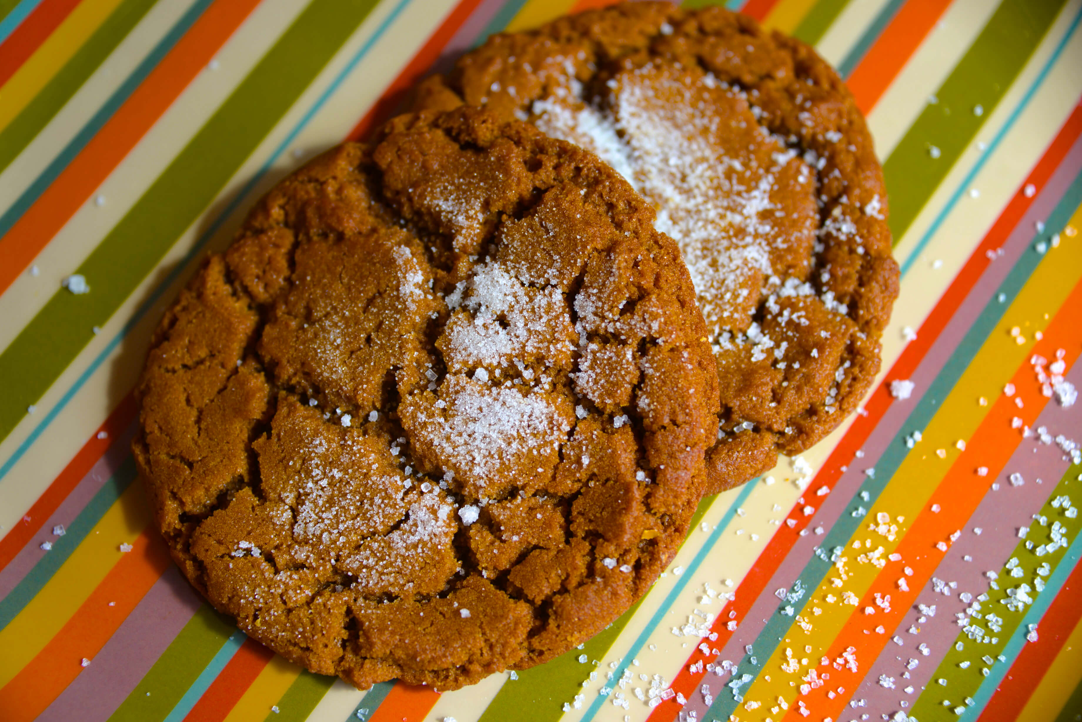 Choco-Gingerbread Cookies