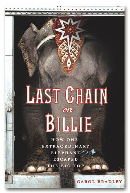 Last Chain on Billie Book Cover