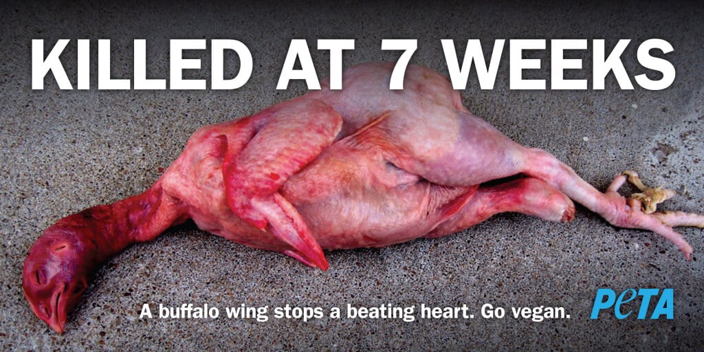 PETA Killed At 7 Weeks Billboard
