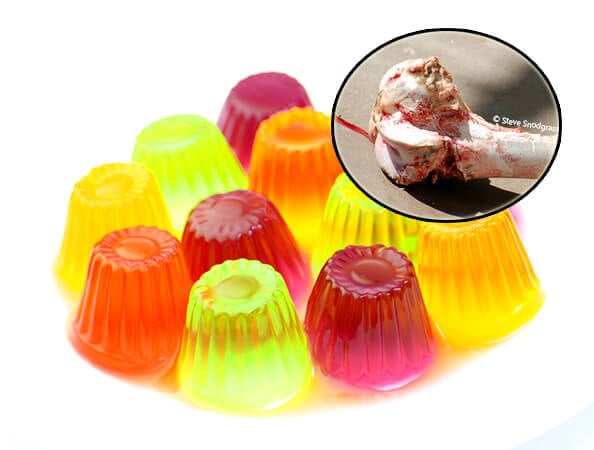 Gelatin