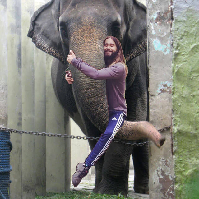 Jared Leto Hugging Mali the Elephant