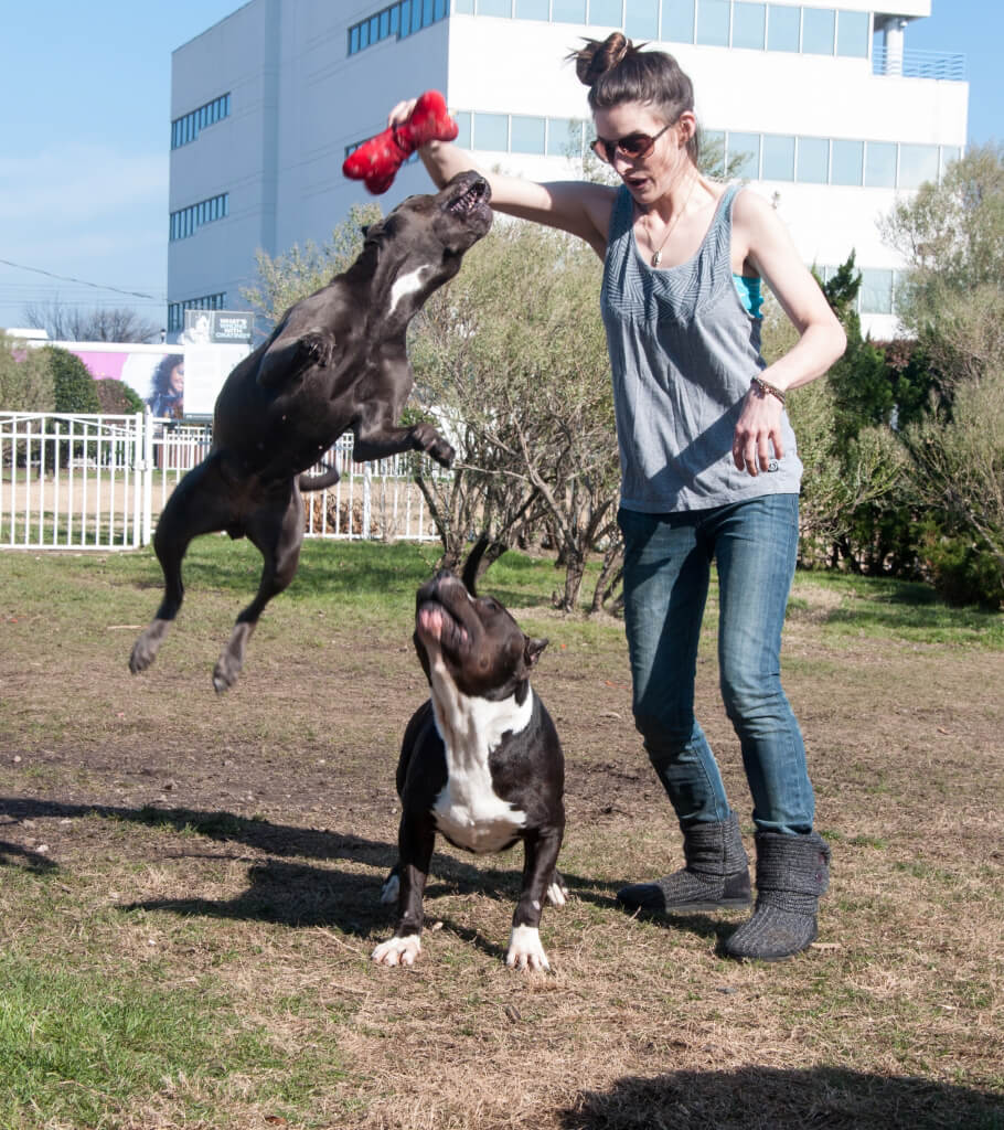 Rescues Dallas and Diamond Having Fun at PETA's Bea Arthur Park