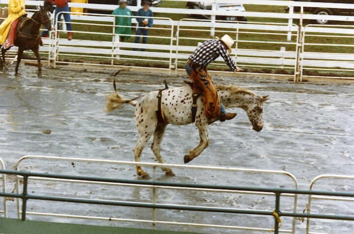 never go to a rodeo - here