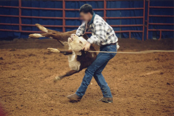 man abusing calf at rodeo