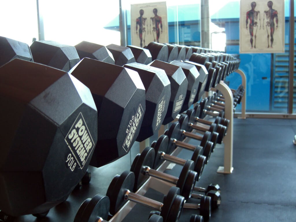 Workout Dumbbells in the Gym