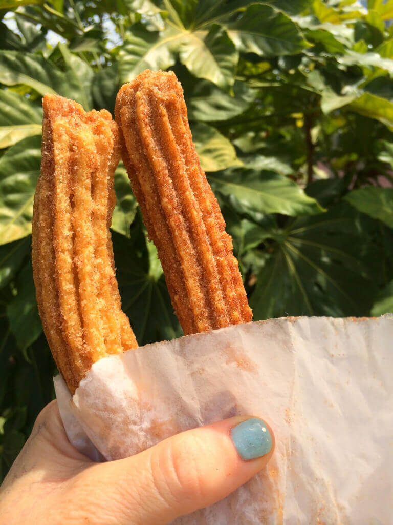 most popular vegan recipes 2019 - vegan churro