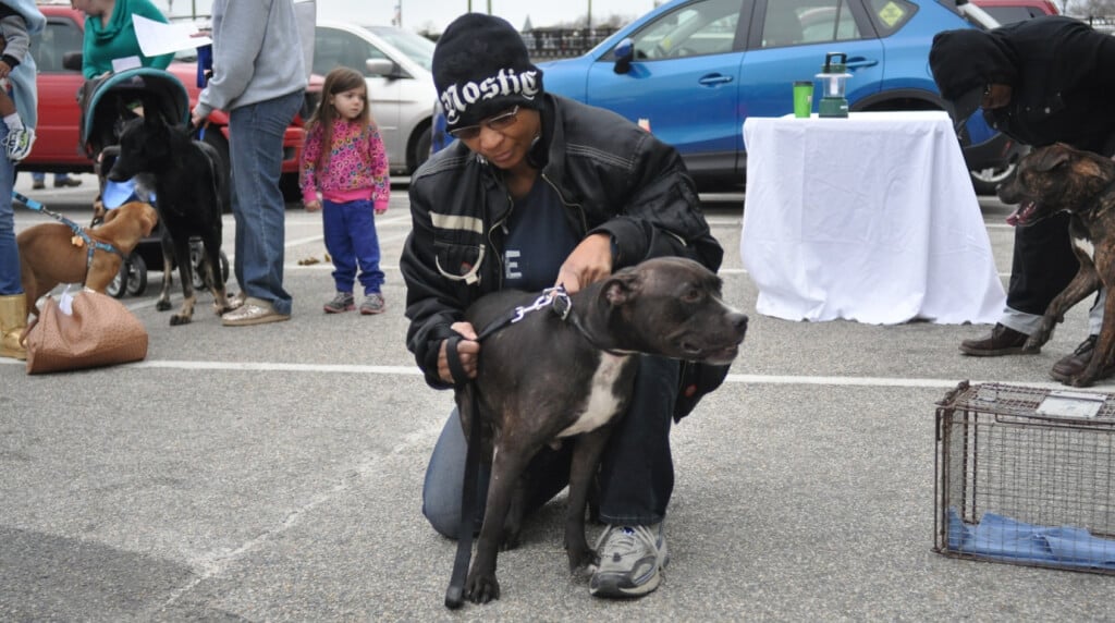 Person With Dog at Mobile Clinic