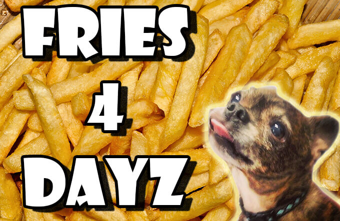 FRIES 4 DAYZ
