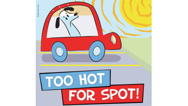 Too Hot for Spot. In Hot Weather, Leave Dogs at Home