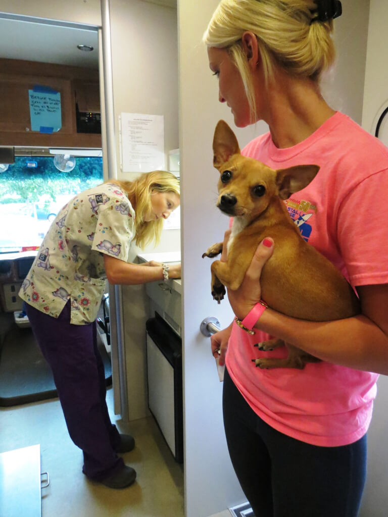 Woman_Holding_Chihuahua