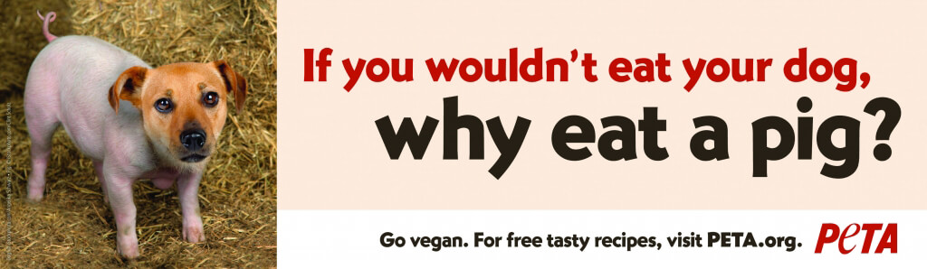 If You Wouldn't Eat a Dog, Why Eat a Pig?