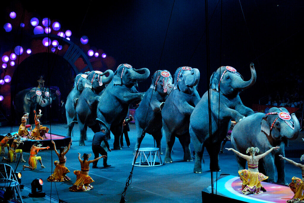 ringling-circus-sad-show