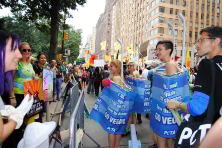 PETA People's March Demo