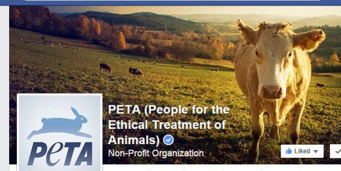 PETA’s Top 7 Facebook Posts of 2014