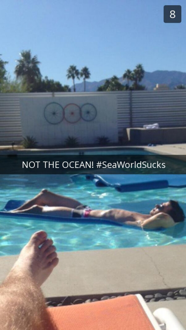 Fight SeaWorld Online Snapchat Example