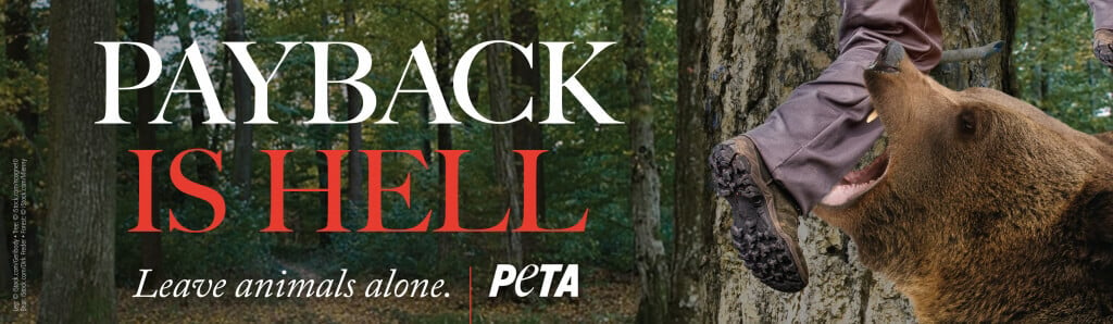 PETA's Payback Is Hell Billboard