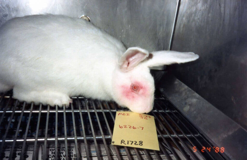 Proof that Animal Testing Hurts PETA