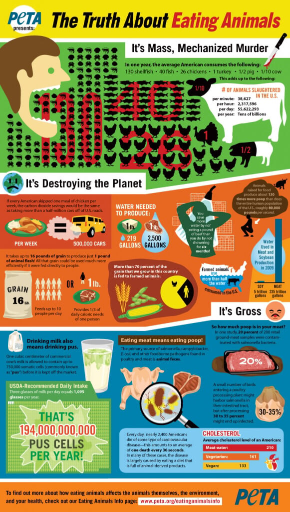 PETA Infographic: The Truth About Eating Animals