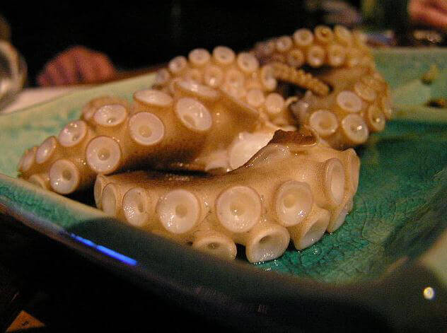 Octopus Tentacles