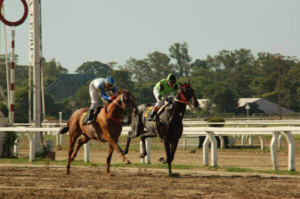 horse racing