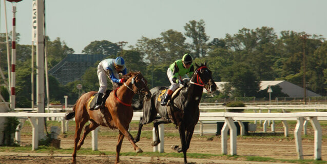 horse racing