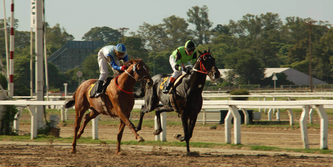 Racetrack Ignores Risks, and Horse Dies