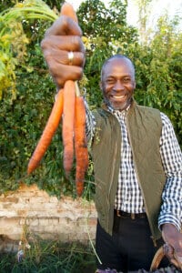 Man Holding Bunch of Carrots