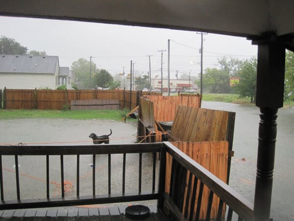 Hurricane Dog