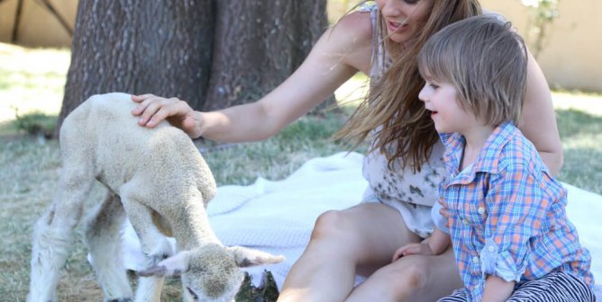 Alicia Silverstone Takes the #WoolFreeWinter Pledge