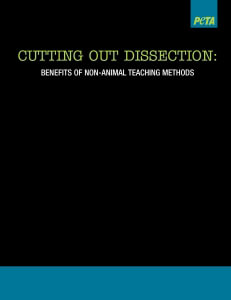 Resources for Implementing Humane Science Policies in Your School | PETA