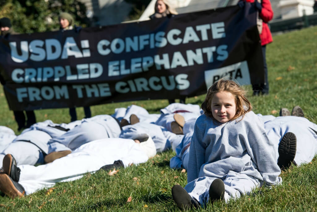 USDA Elephant Demo 2