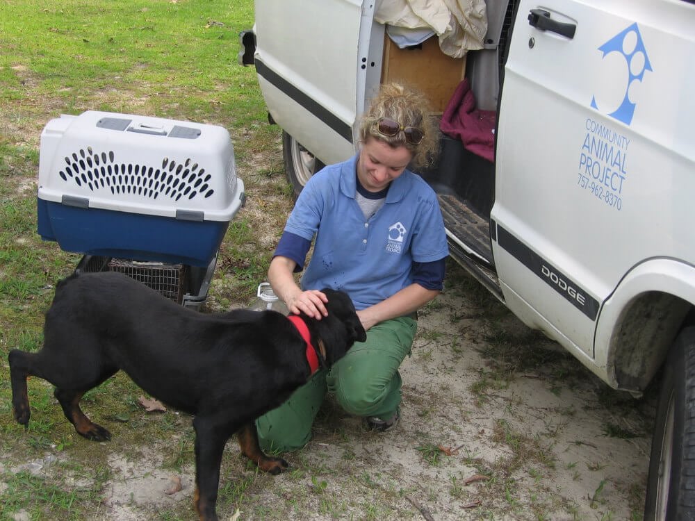 A PETA fieldworker helps a dog in need.
