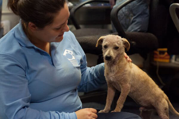 Rescued Puppy Gabe