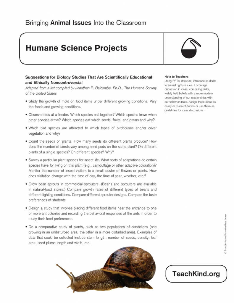 science project ideas worksheet