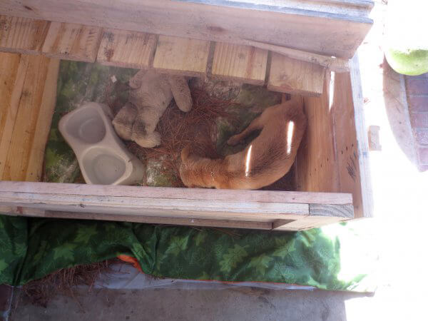Gabe Living in a Box