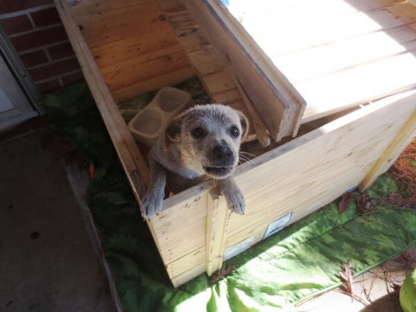 Gabe Living in a Box